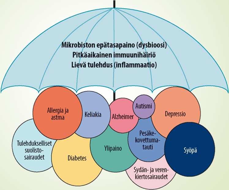 Eikä vain