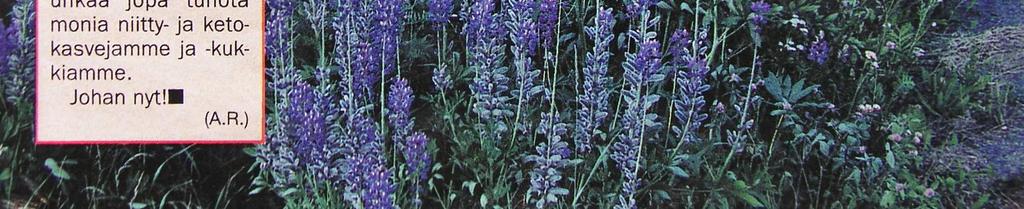 adversely affected by invasive