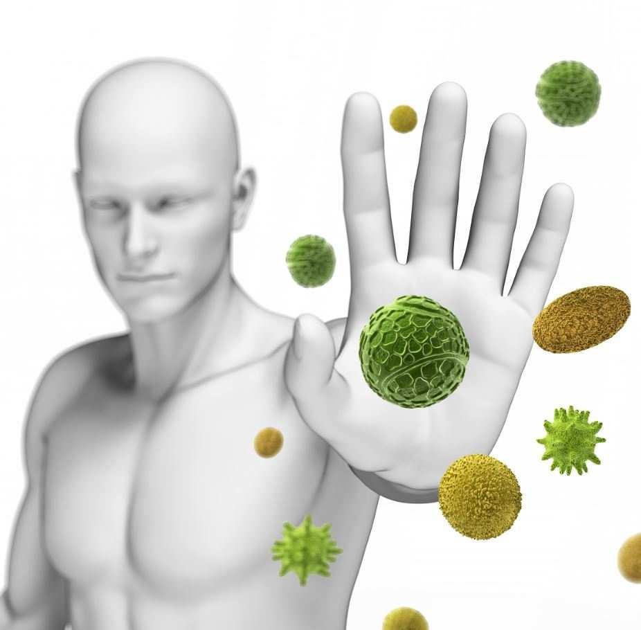 Ihmisen immuunipuolustus biologinen vaste monimuotoisuuteen?