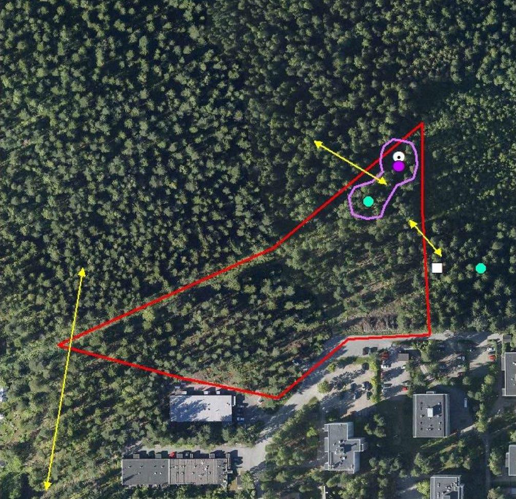 69:066 / HAAPALAMMENTIE / ASEMAKAAVASELOSTUS (10) Ote liito-oravaselvityksestä: ydinalue