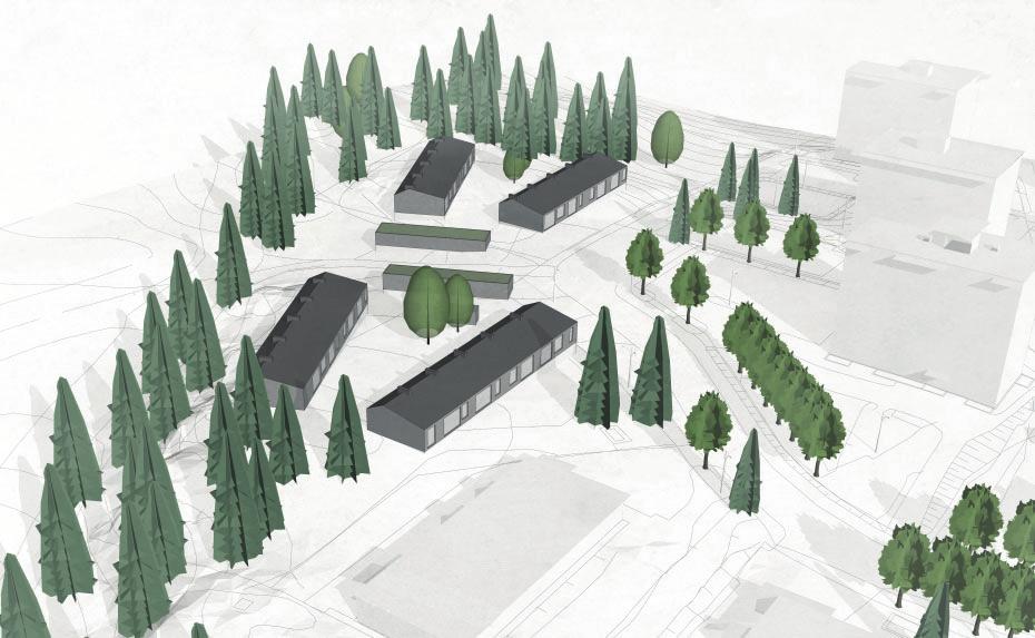LIITE 4 ASEMAKAAVAN HAVAINNEKUVIA Haapalammentie asemakaava Jyväskylän kaupunki, asemakaavoitus