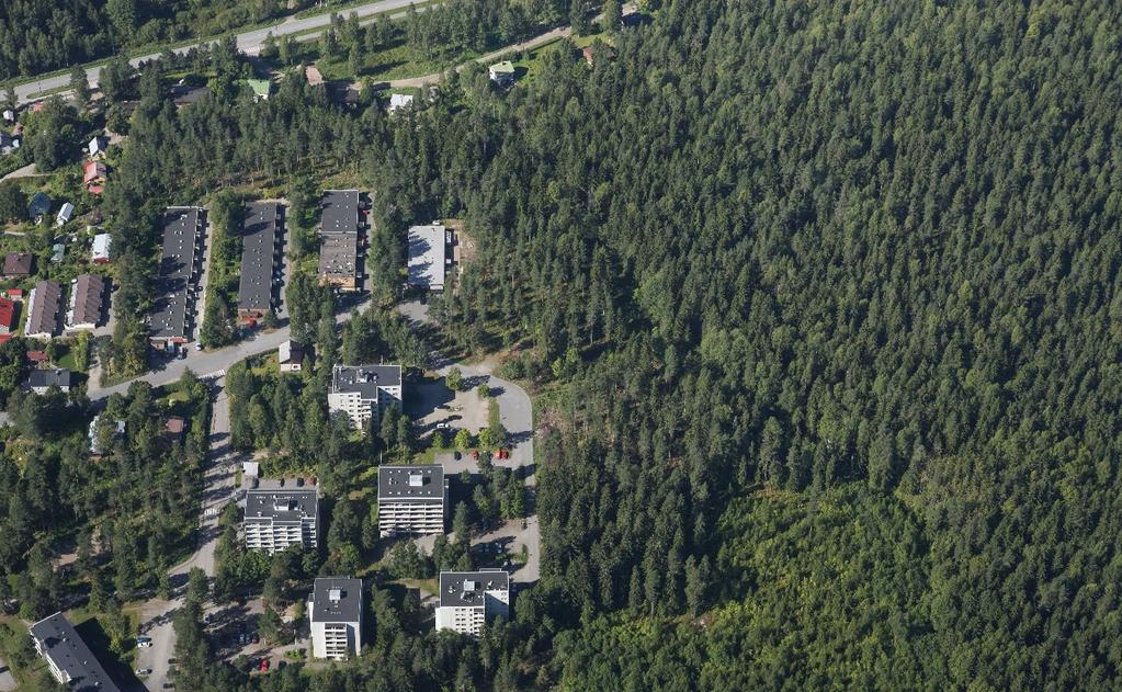 69:066 / HAAPALAMMENTIE / ASEMAKAAVASELOSTUS