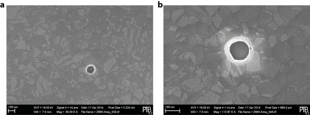 Supplementary Figure 10 Exemplary SEM images (a) Image of 114 nm ZMW with measured width and height of 116.
