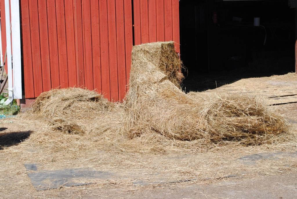 Talvellakin hevosille tarjotaan vettä päiväruokinnan yhteydessä ämpäristä. (Laukkanen, haastattelu 12.4.2018; Laukkanen, haastattelu 6.5.2018) Tarhojen pohjat ovat pääosin hiekkaa.