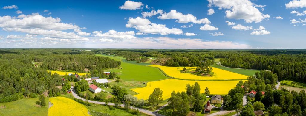 Projektet Raseborgs å Raaseporinjoki-hanke Salaojituksen neuvottelupäivät