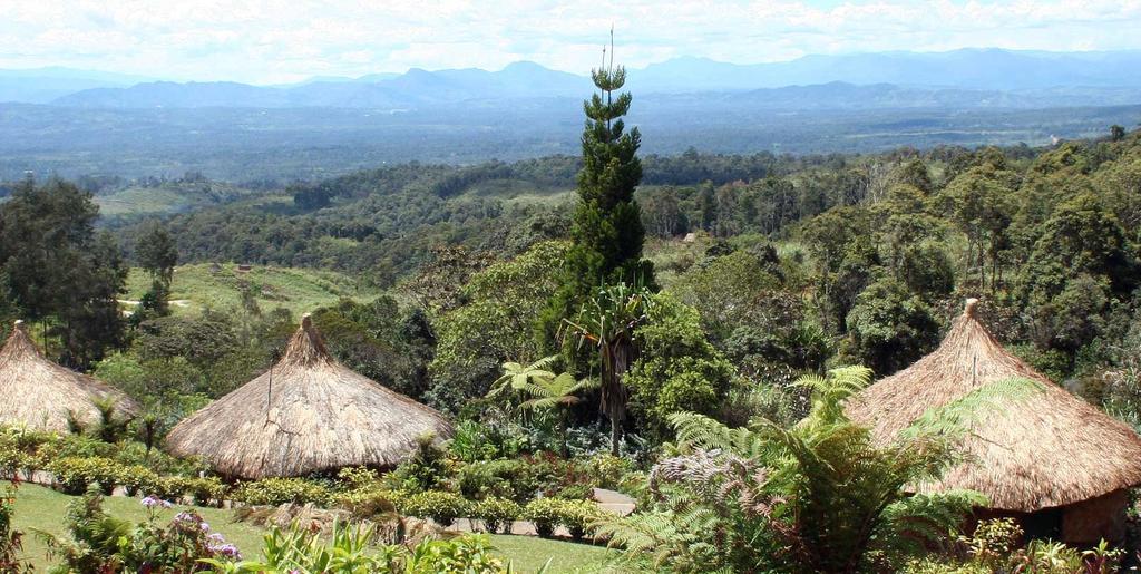 Papua-UusiGuinea Tämä matka ei