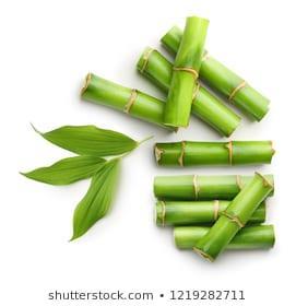 Bambukuitua tai muuta kasvikuitua sisältävät muovituotteet Mistä on kyse? - Markkinoilla on nykyään paljon erilaisia bambukuitua tai jauhoa tai muita kasvikuituja sisältäviä muovituotteita.