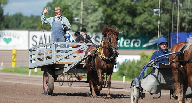 LAURA LAAKSO / HIPPOS Seniorilisenssi S Seniorilisenssin haltija on vähintään 60-vuotias henkilö, jonka ajolupa ei ole enää voimassa.