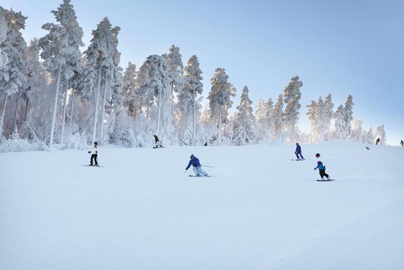 Työn sisältö Kuntastrategia ja kunnan hyvinvointiohjelma liikuntaa edistämässä Miten eri väestöryhmät liikkuvat ja Hollolan kunta liikunnan edistäjänä Kuvaus Hollolan kunnan liikuntapalveluista