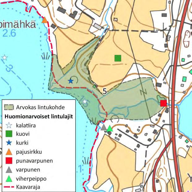 Lisäksi alueella havaittiin uhanalainen haapana, tavi ja telkkä. Myös kalatiirat saalistavat alueella. Alue sijoittuu kaava-alueen välittömään läheisyyteen. 5.