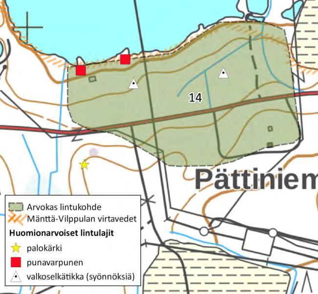 Pesimälajistoon kuuluvat useiden parien voimin ainakin uhanalainen pajusirkku, ruokokerttunen, punavarpunen ja telkkä.