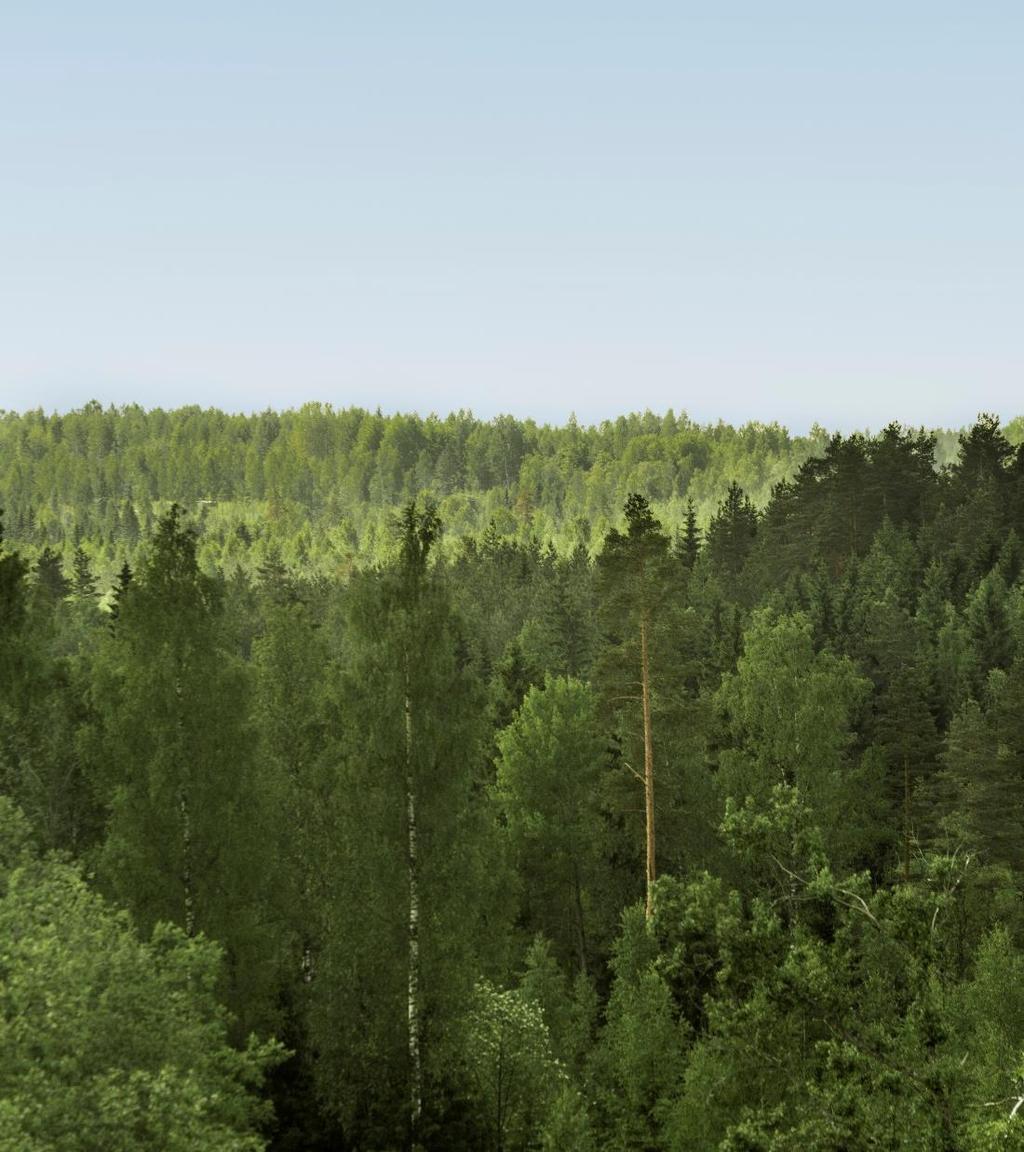 Maailma tarvitsee Metsää Maailman väestö kasvaa ja vaurastuu. Energiasta ja luonnonvaroista kilpaillaan kiivaasti.