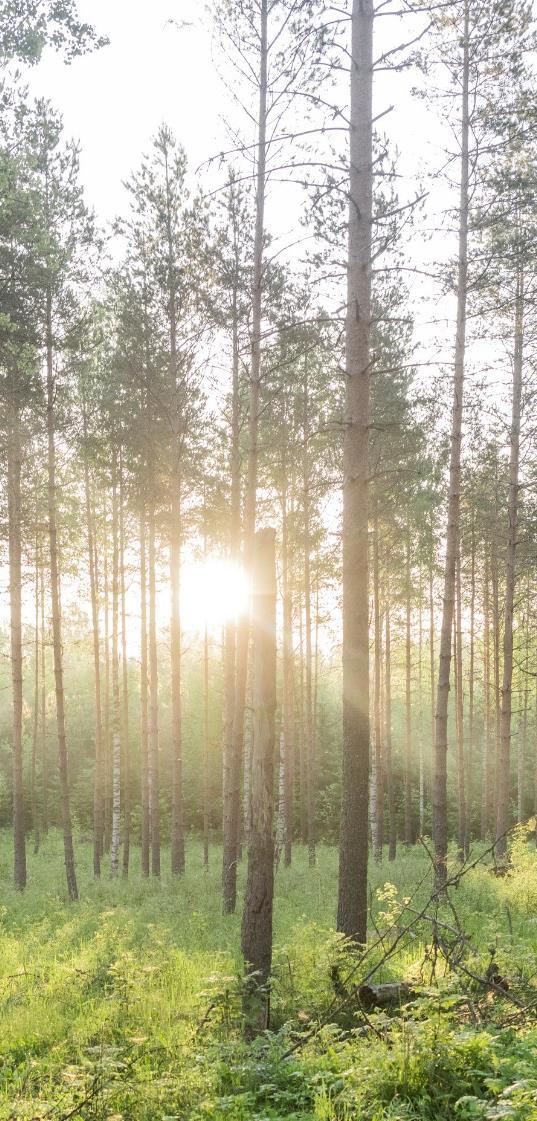 korostuu Kuljetusmateriaalien kysyntä kasvaa Tuotantoteknologioiden