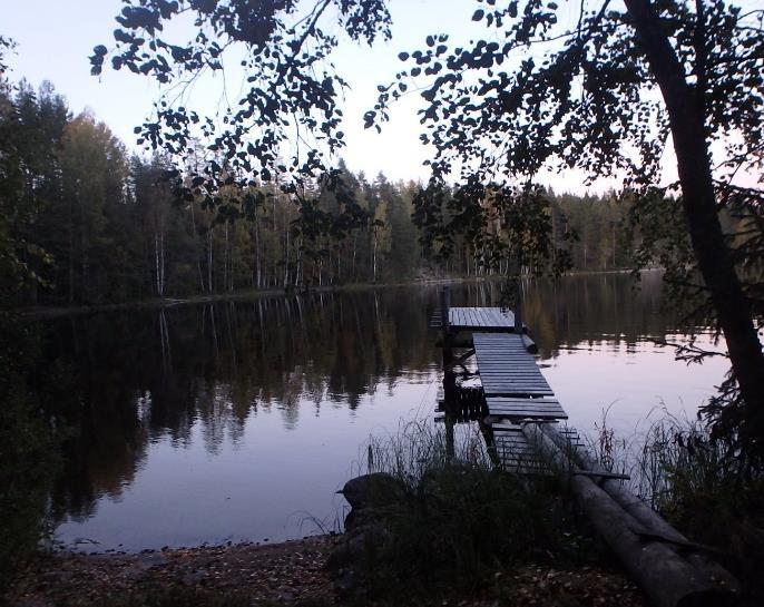 Loivalta rantapenkalta avautuu levolliset näkymät suojaiselle Tetrilahdelle.