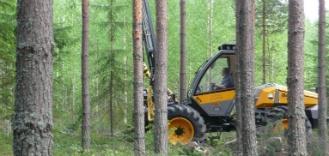 Metsänhoitoyhdistys Päijät-Häme PALVELUT Metsänuudistaminen Taimikonhoito, nuoren metsän hoito Metsäarviointi, metsäsuunnittelu Neuvonta ja asiantuntijapalvelut Puukauppapalvelut