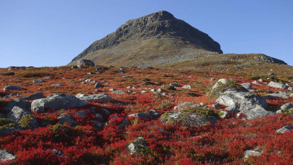 VISIT FINLANDIN PALVELUT MATKAILUELINKEINOLLE