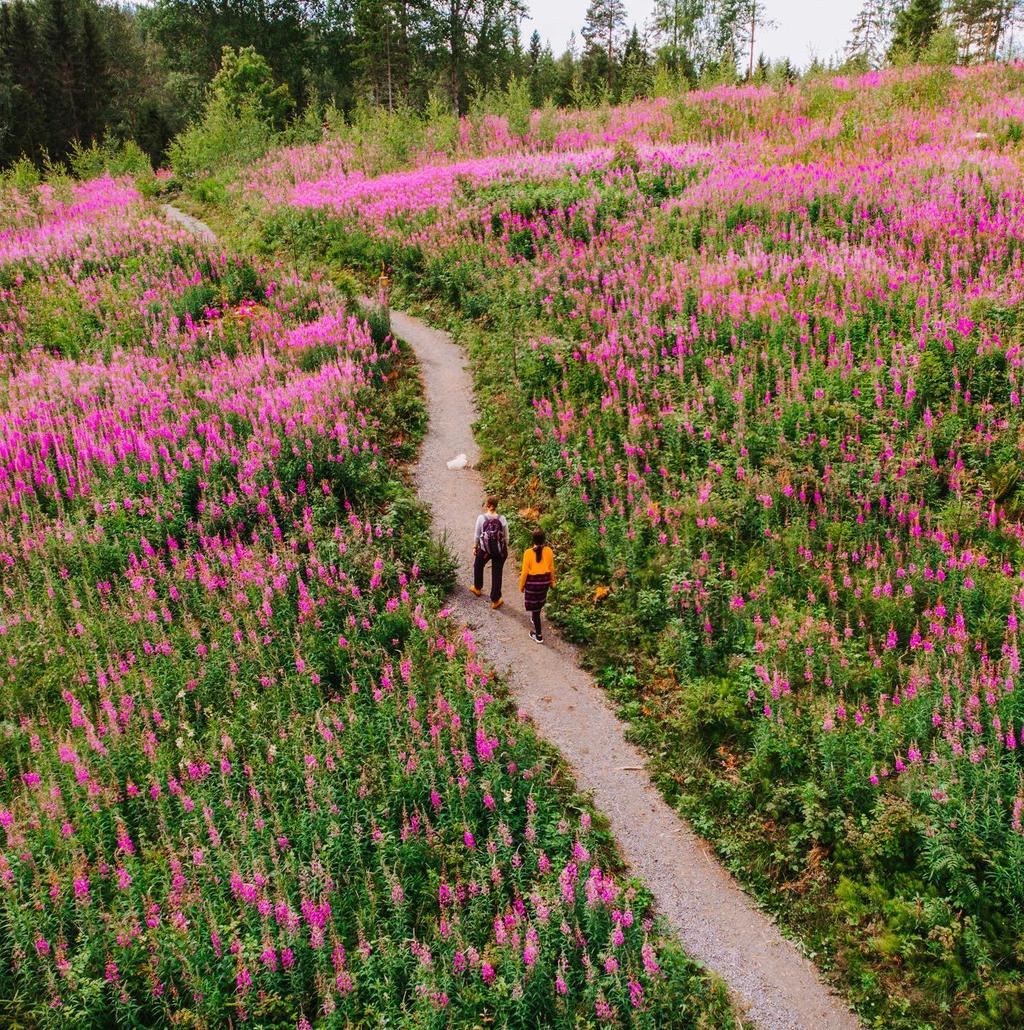 SUSTAINABLE TRAVEL FINLAND Kestävän matkailun ohjelma matkailualueille ja yrityksille.