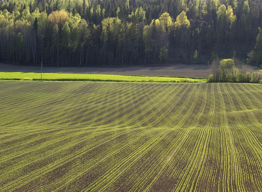 Lisätietoja kokoustekniikasta www.mtk.