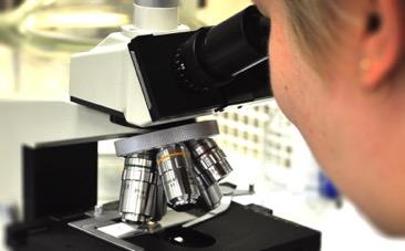 Laboratorioalan perustutkinto, pk, yo (Kuopio) Laborantti tutkii eri aineiden koostumuksia tekee solu- ja bakteeriviljelyä arvioi veden puhtautta tutkii DNA:ta tekee metallimäärityksiä LABORANTTI