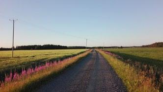 Runon teksti voi olla Runon teksti voi olla aihepiiriltään joko aihepiiriltään joko kotiseutuhenkinen, luontoaiheinen tai tai rakkausruno. vaikkapa rakkausruno.