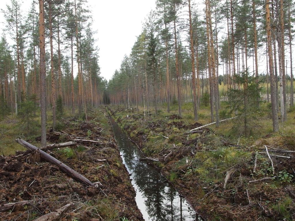 Kunnostusojitukset Yli 90 % metsätalouden