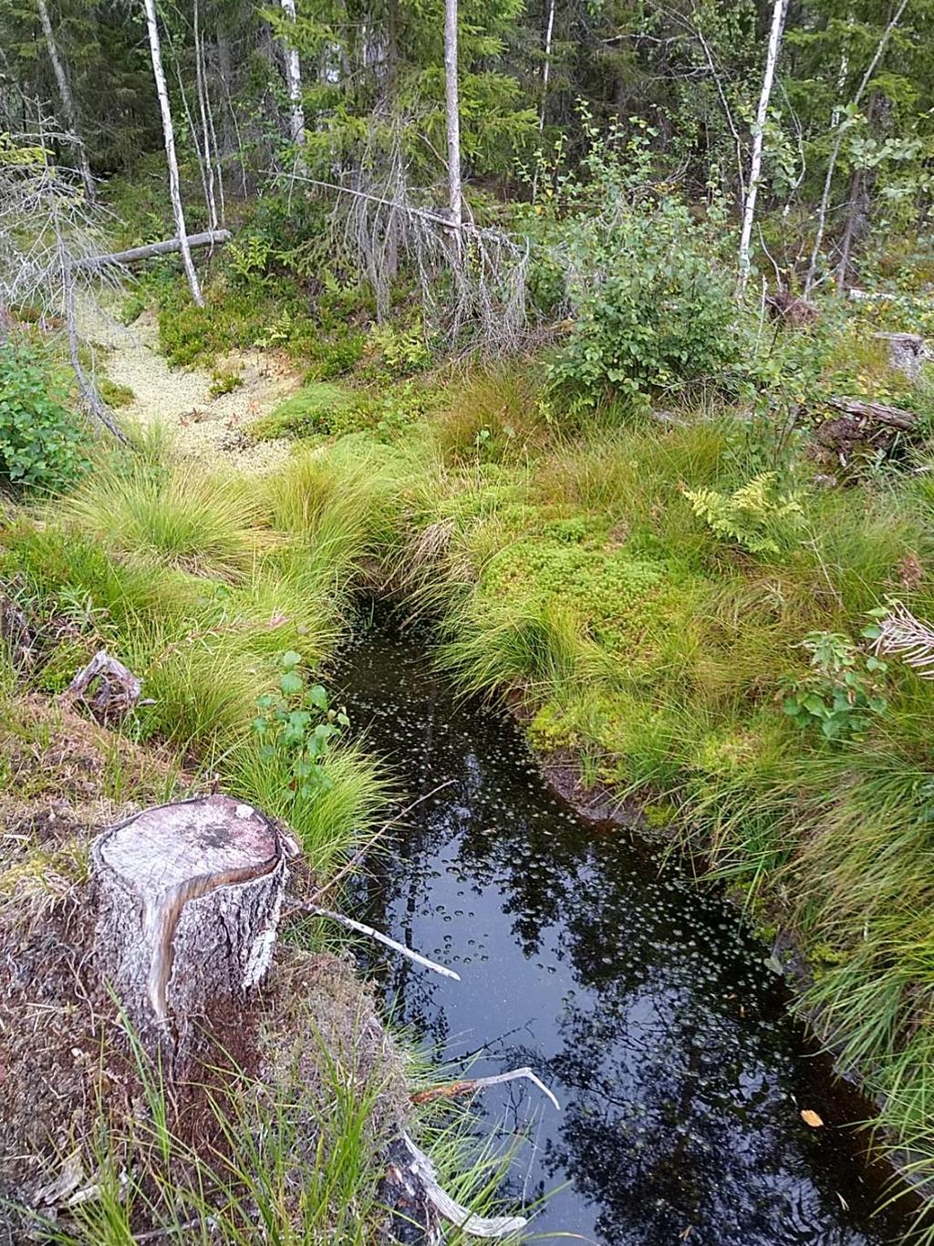 Kaivukatkot Laskuoja