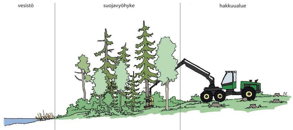 Suojavyöhyke WWF:n raportti 2018: Vesiensuojelu 10-15 m mekaaninen pidätys ravinteiden otto rantaeroosion ehkäisy vaihtelevan levyinen Monimuotoisuus 15-30 m