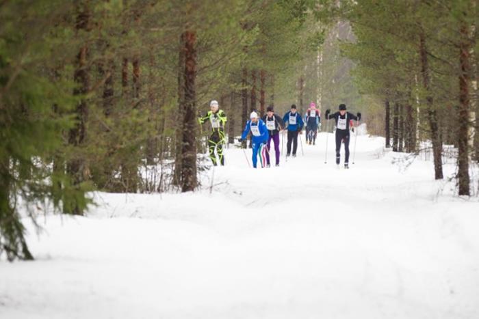 4.5 Liikuntapaikat Hollolan kunnalla oli vuonna 2018 yhteensä 132 ylläpidettävää liikuntapaikkaa.