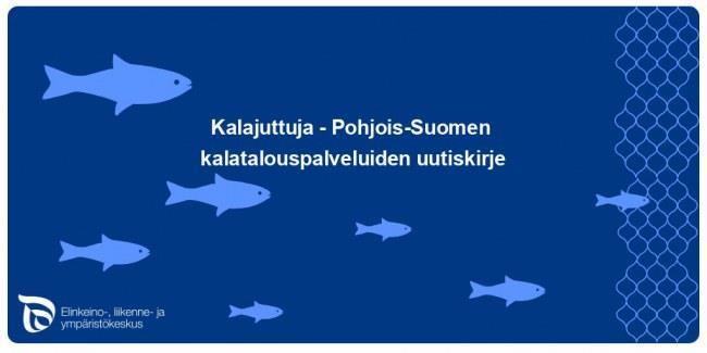 Siellä voi olla hyviäkin särkipaikkoja ja kantoja hyödynnettäväksi elintarvikkeena, mutta kun sitä ei ole edes pyritty kalastamaan.