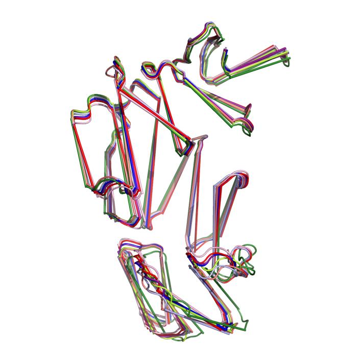 Monomers corresponding to the same dimer are colored with a different tone of the same color. B) The peptide fix the AimR structure.