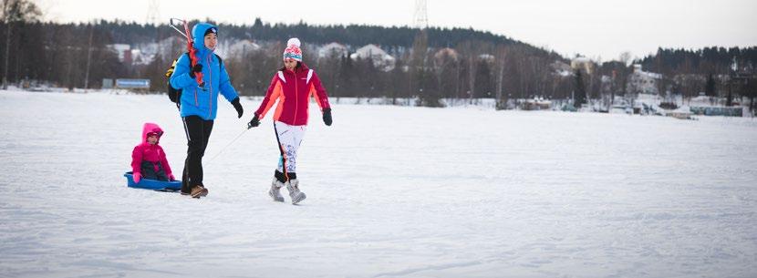 Lahden seutu Lahti Region Oy:n hanketoiminta jatkuvaa matkailun kehittämistä yhteistyössä yrityskentän kanssa Lahden seutu Lahti Region Oy:lle on tullut entistä tärkeämpi rooli kehityshankkeiden