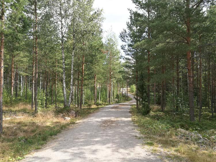 metsää. Alueella sijaitsee pieni kallioharjanne ja ojitettu notkelma. Selvitysalue on tehokkaassa talouskäytössä ollutta metsämaastoa ja hiljattain käyttöön otettua rakentamisaluetta.