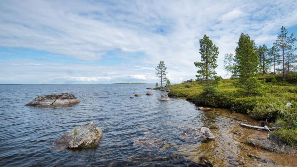 Luontotyyppien uhanalaisuus ja ekologinen kompensaatio Anne Raunio Suomen ympäristökeskus