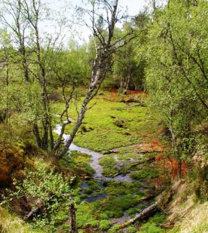 savikkoalueet, E-S virtavedet), pienvesien suojelu, metsätalouden