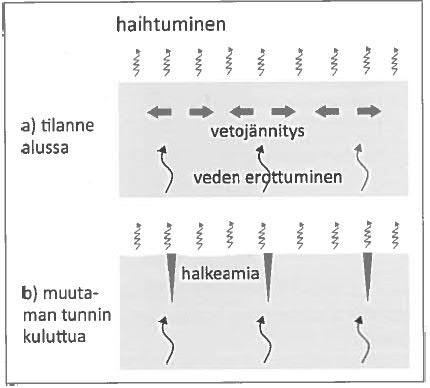 KUVA 4. Plastisen kutistuman syntymekanismi (by 201.
