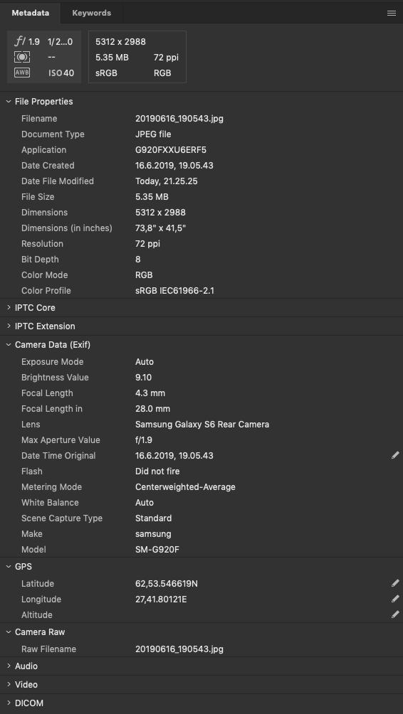 Kuva 2: Mediatiedoston metatietojen tarkastelua Adobe Bridge-sovelluksessa.