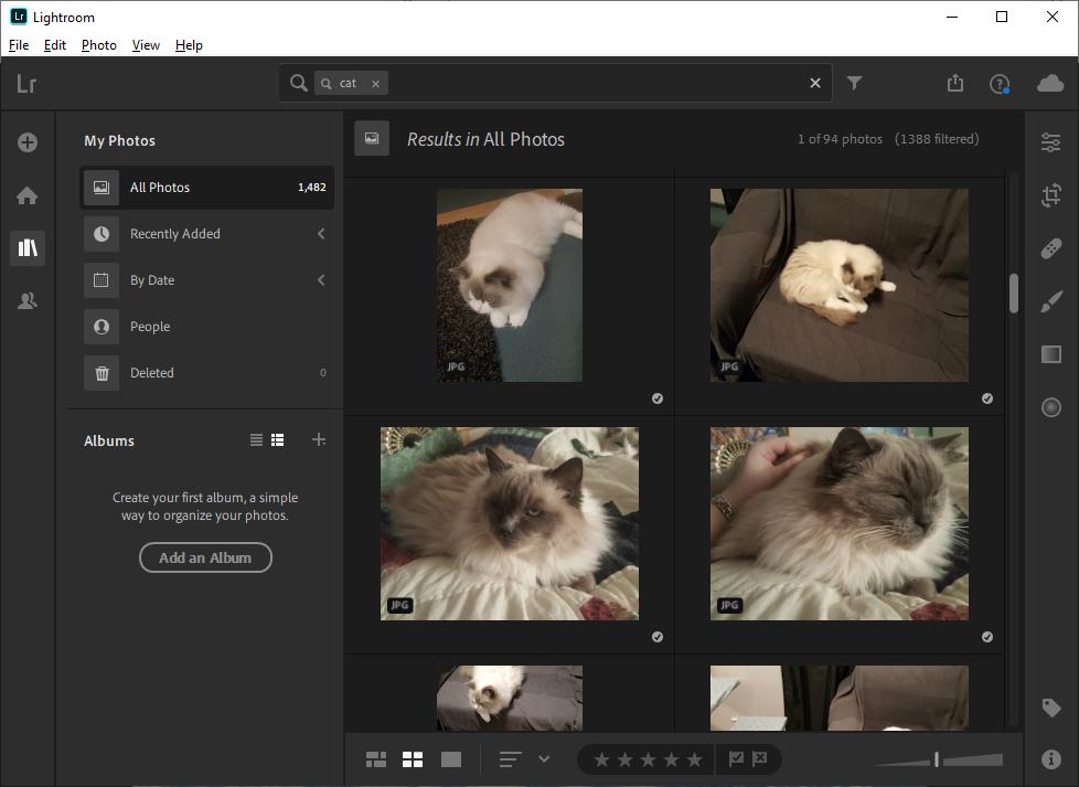 Kuva 3: Adobe Lightroom-sovellus löytää hakusanalla cat kuvia kissoista. Kuviin ei ole etukäteen lisätty avainsanoja. Automaatiota hyödynnetään myös materiaalinhallinnan työnkulkujen helpottamiseen.