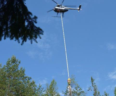 kunnossapito Metsänhoito johtojen läheisyydessä Verkoston