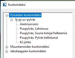 21 KUVA 11. Pylvään kuntoindeksin määrittelevät tekijät 5.