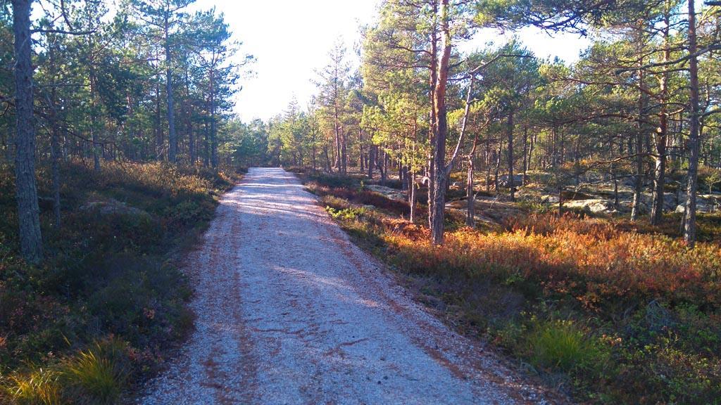 Yleiskatselmuksen perusteella voidaan sanoa, ettei suunniteltu kaavamuutos aiheuta haittavaikutuksia luontoarvoille, eikä tarvetta varsinaiseen keväällä/kesällä tehtävään luontokartoitukseen ole.