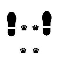 4. Koiran ja ohjaajan kasvot ovat vastakkaisiin suuntiin ja koiran oikea lapa on yhdensuuntainen