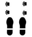 Koira on ohjaajan selän takana kylki ohjaajaa kohti, koiran rintamasuunta on ohjaajaan nähden vasemmalle. Tässä positiossa koiran oikea lapa kohdentuu samaan linjaan ohjaajan vasemman jalan kanssa.