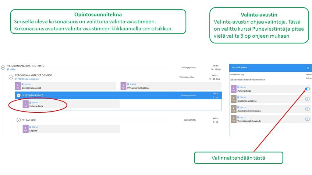 Kun valinnat on tehty, ohjeteksti poistuu ja kokonaisuuden otsikkoon (sinisellä pohjalla) tulee teksti Valinnat tehty. Jos valinnat ovat kesken, lukee palkissa Valintoja puuttuu.