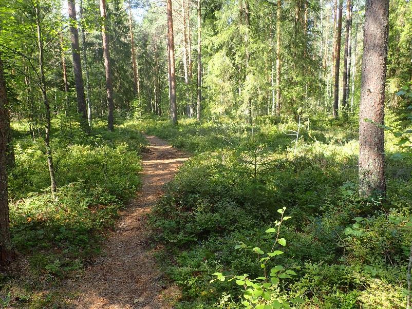 kohteiden ja elämyksellisyyden