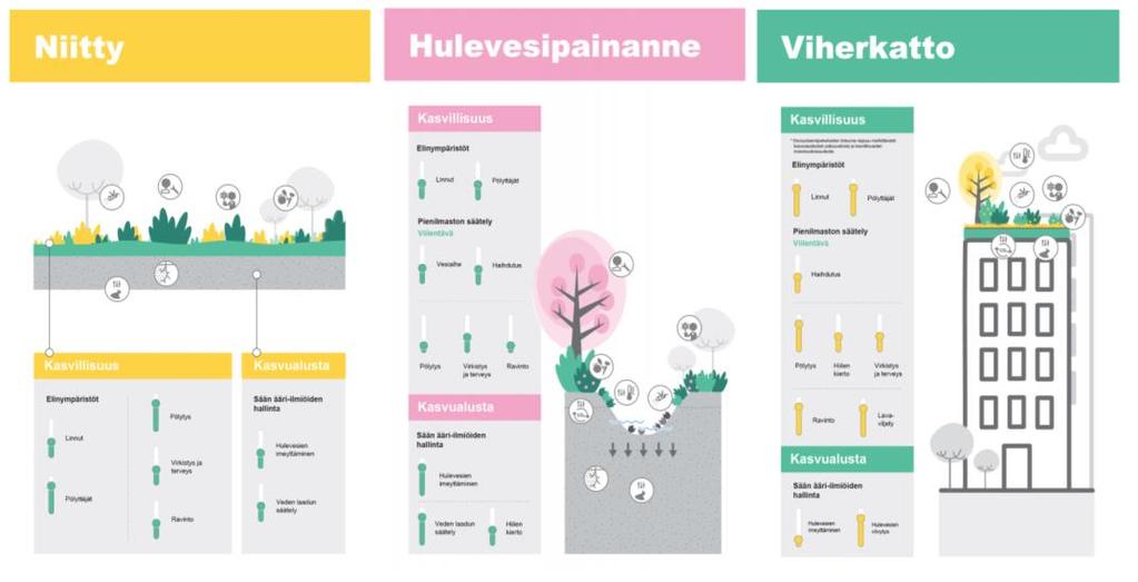 Kuva 8. Kuvitusta vihreän infrastruktuurin tuottamista ekosysteemipalveluista Innogreenin ja WSP:n jatkokehittämissä ohjekorteissa.