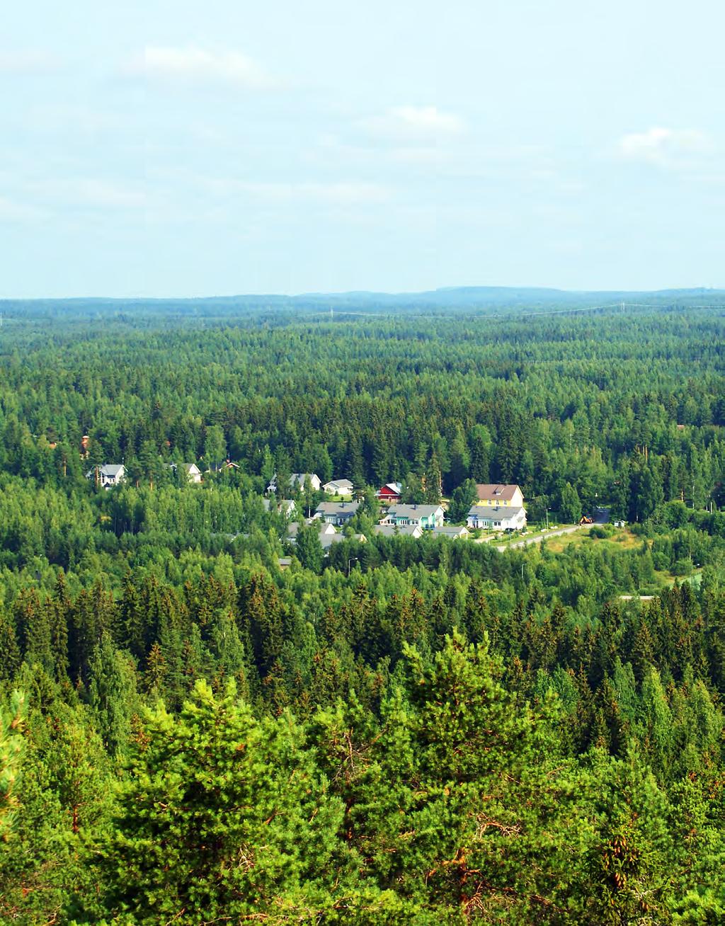 MTK MENOSSA MUKANA Metsät vaikuttavat kunnan elinvoimaan niin työpaikkojen kuin verotulojen kautta.