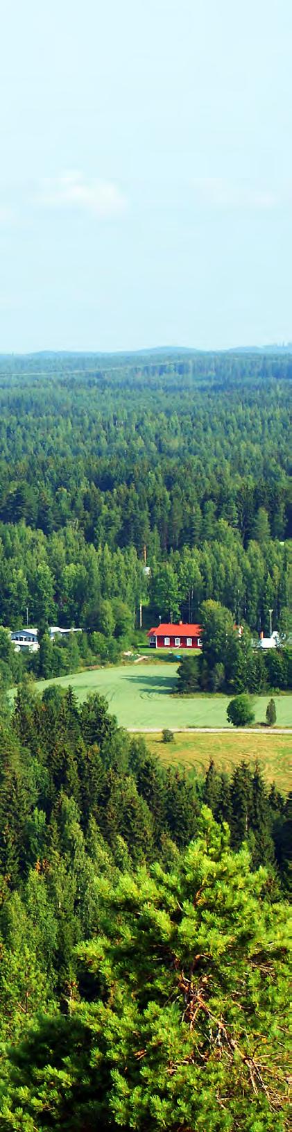 Kaavatyön alussa kunnan on tärkeä olla selvillä siitä, miten kaavaa on tarpeen ulottaa metsäalueille.