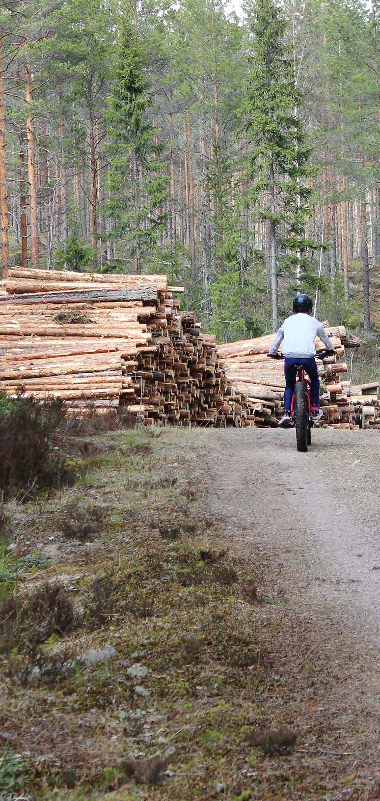 MTK MENOSSA MUKANA Metsätalous ja metsien virkistyskäyttö saatiin sovitettua Lahdessa yhteen. kuntien omat metsänhoitajat hoitavat metsiä mallikkaasti.