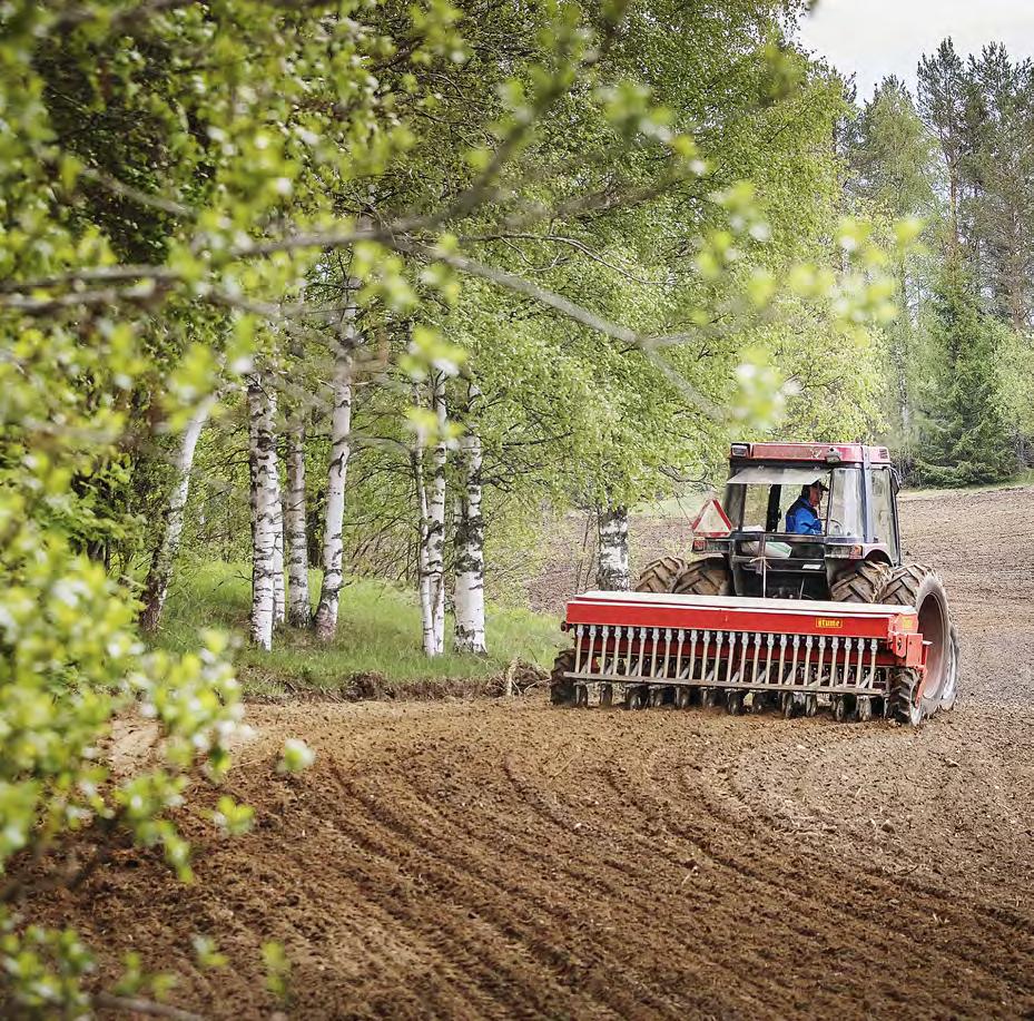 KENTÄLLÄ TEKSTI KAIJA STORMBOM JA HENRIETTA DAHLMAN KUVAT HENRIETTA DAHLMAN JA VL-ARKISTO Lari Lievonen Nata puhuu lihasta LIHAKAMPANJAN PÄÄ- TAVOITTEENA ON parantaa suomalaisen naudan-, sian-,