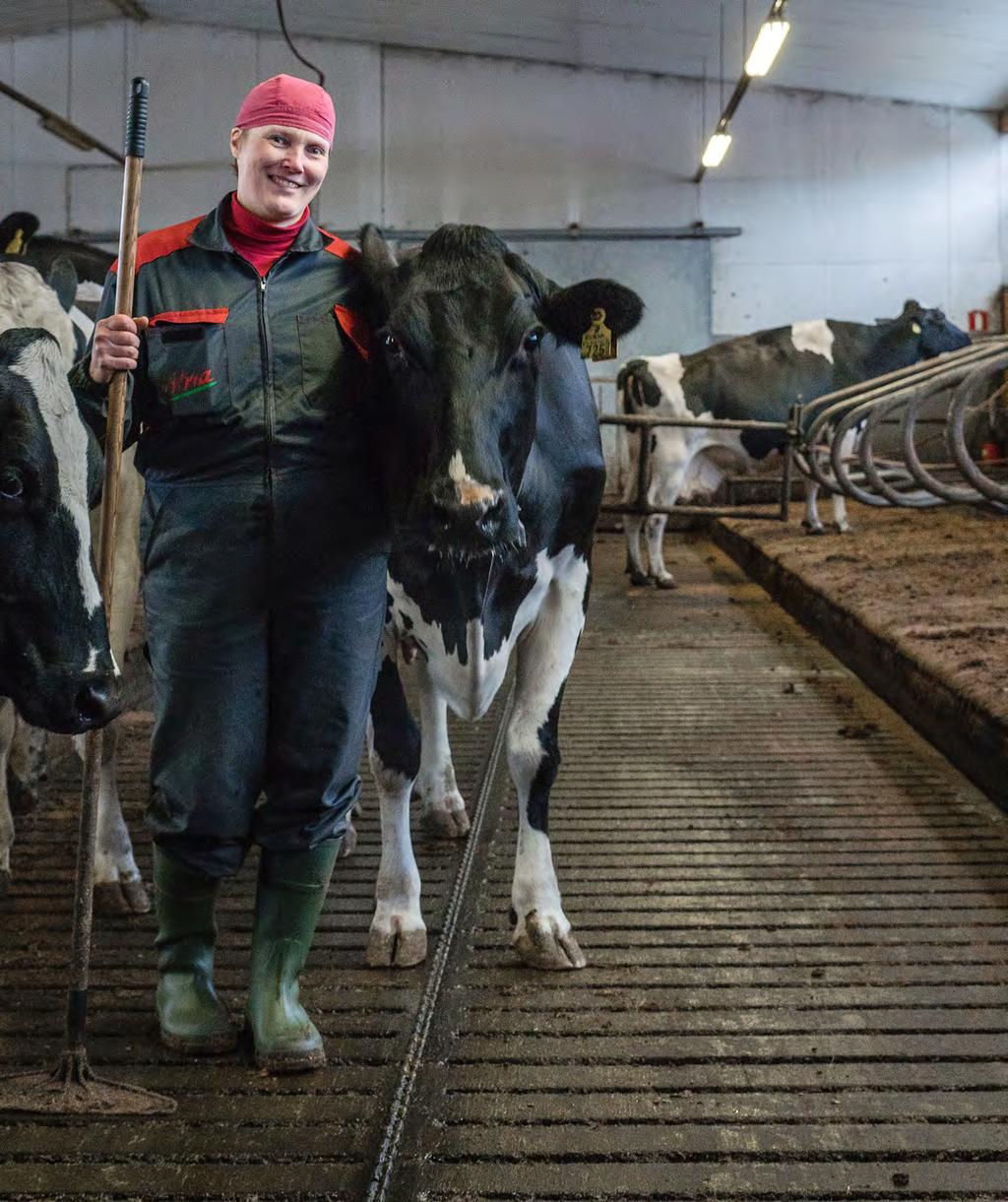 Eläimet ovat olleet minulle aina se juttu, joten lähdin Otavaan karjakkokouluun, vaikka en ollut lehmään koskenutkaan.